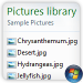 Show File Extensions in Windows 7