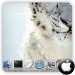 Show Only Active Applications In Mac OS X Dock