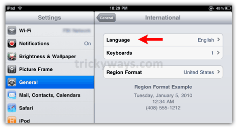 iPad language option