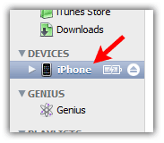 iPhone device in iTunes