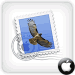 How to Transfer Apple Mail to New Mac