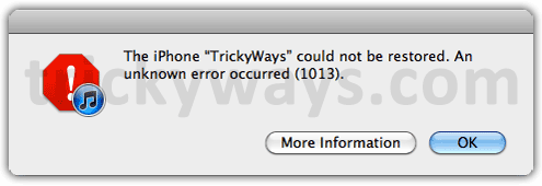 iTunes 1013 error