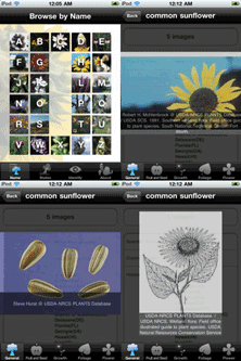 PlantPedia: Most Comprehensive Plant Reference iPhone App | Downloads