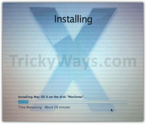 Installing Mac OS X