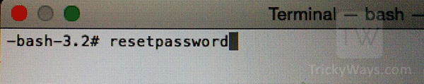reset-password-terminal-command