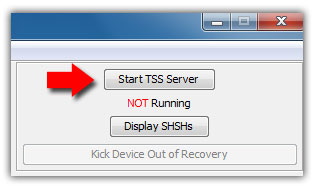 tinyumbrella-start-tss-server