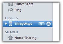 Select you device in iTunes