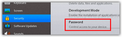 PlayBook Security Password
