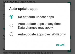 disable auto update apps