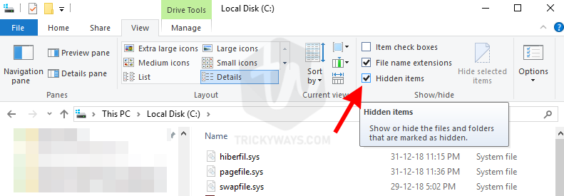 file explorer show hidden files option