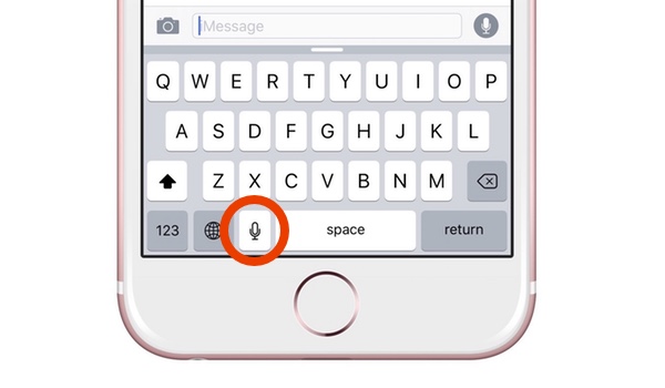 Remove Microphone Icon From iPhone Keyboard