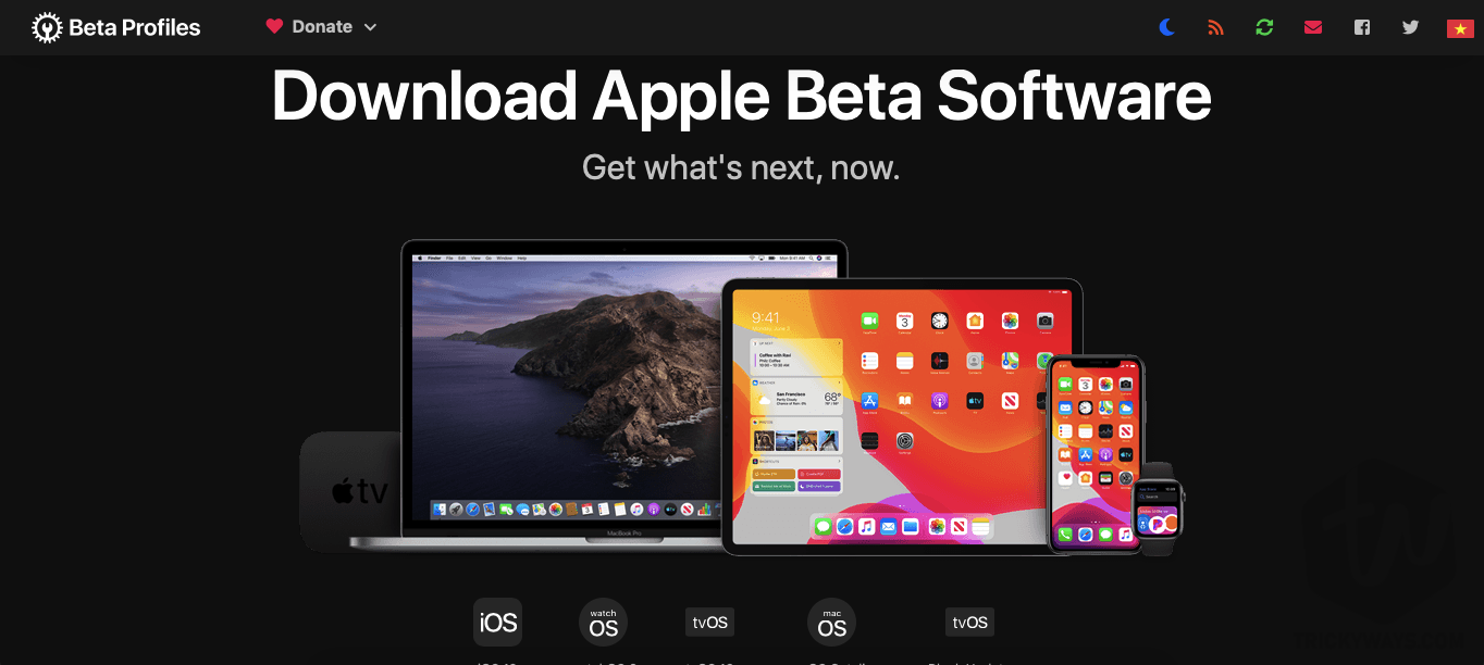 download apple beta software