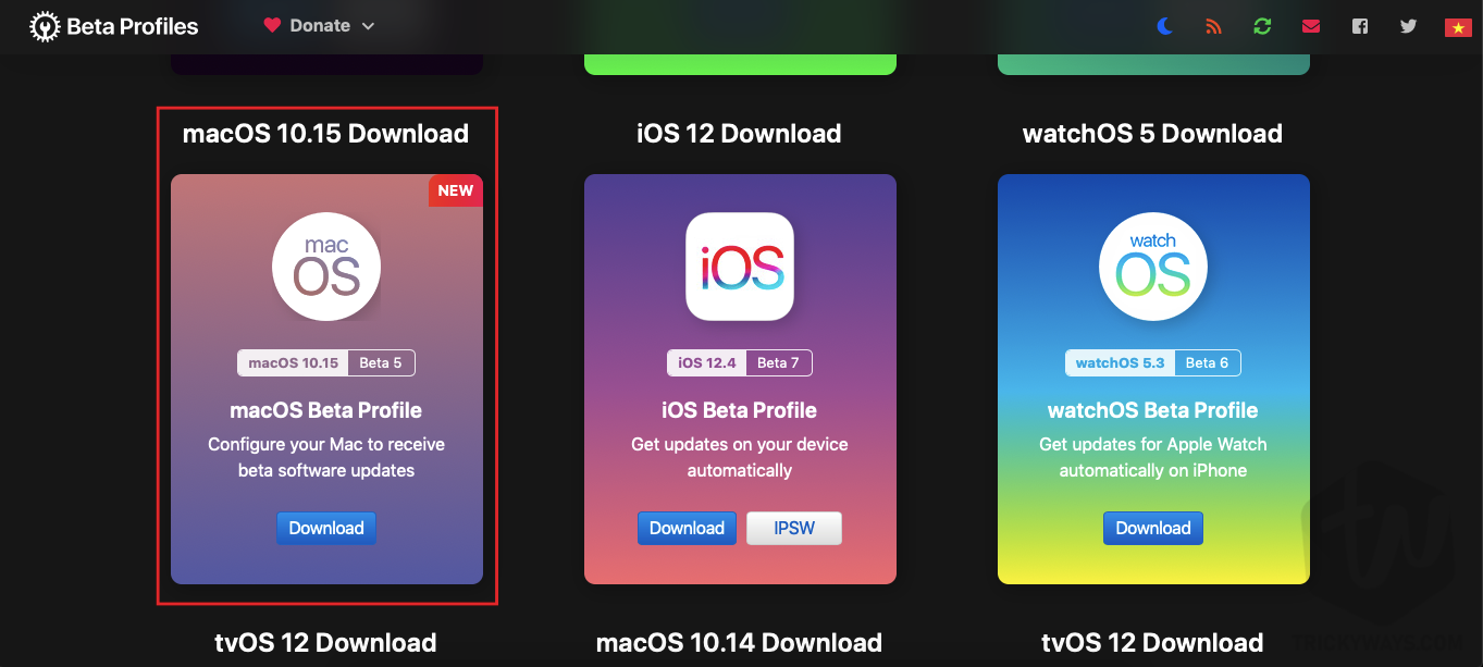 macOS catalina beta profile download