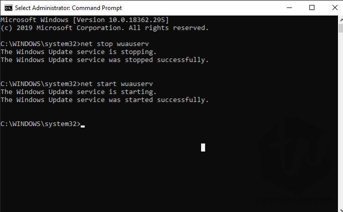 Command Prompt console as an administrator