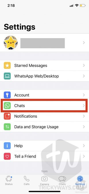 whatsapp chats settings on iphone