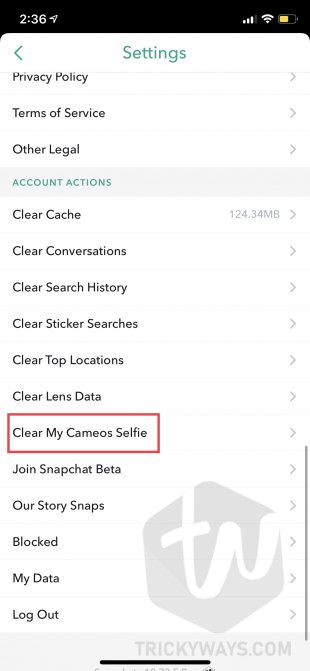 clear cameos selfie