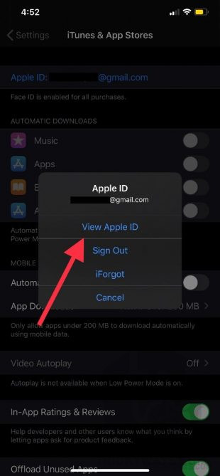 add funds - view apple id