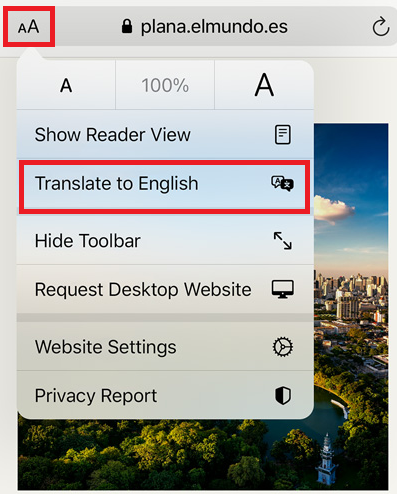 translate webpage safari iphone ipad