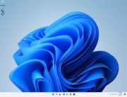 Windows 11 desktop view